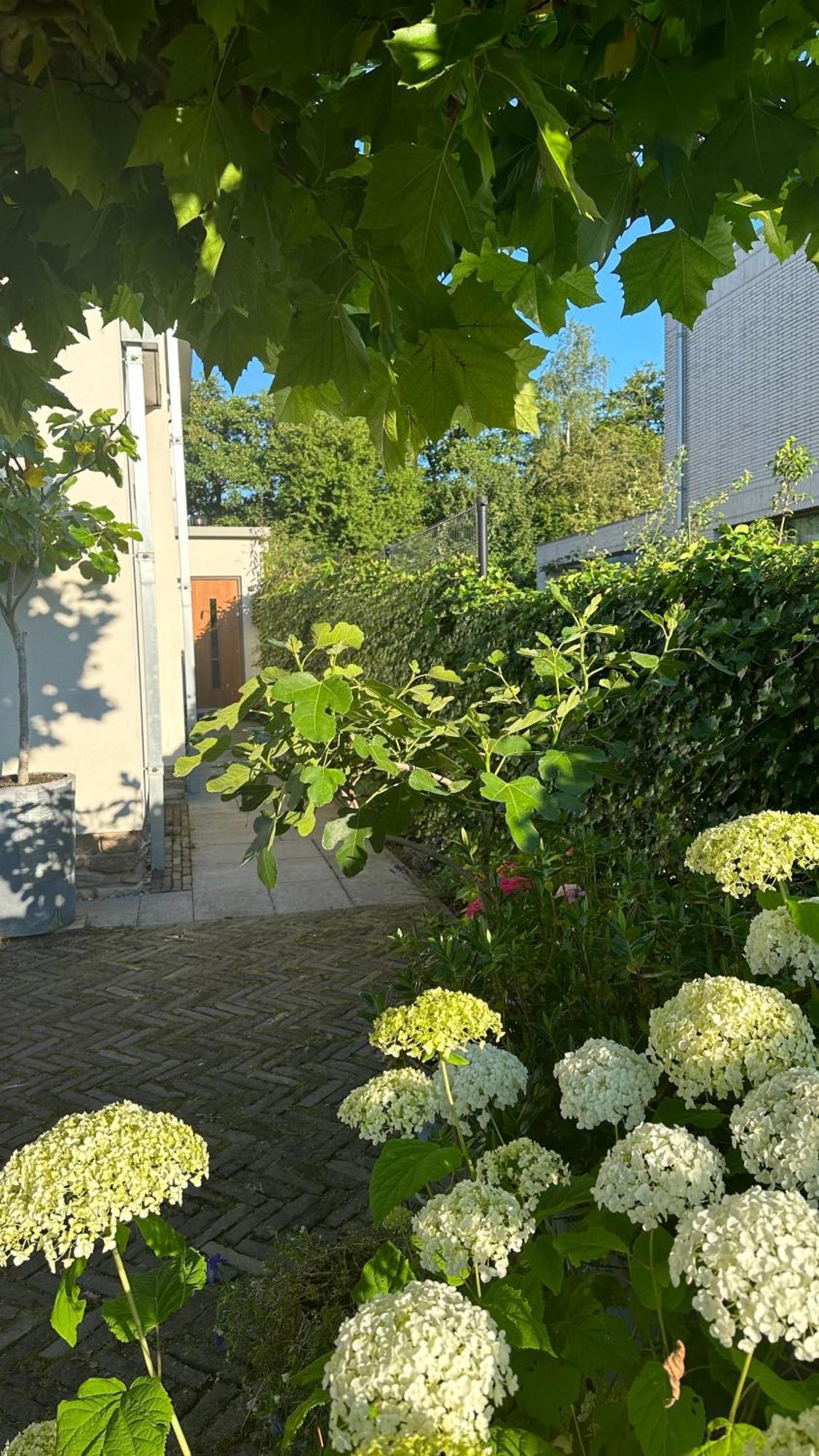 Luxe B&B "In De Schulp", Ontspan En Geniet Van Comfort En Stijl Амстелвин Экстерьер фото